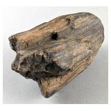 Petrified Wood Specimen, 1.61lbs 