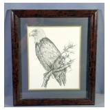 Bald Eagle Print Framed And Matted Under Glass, 16" x 14"