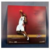 Win Craft Sports Chicago Bulls Pennant And Window Flag, Lebron James Card