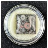 Crinoid Fossil Cabochon - 15 Total Carat Weight
