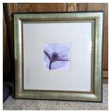 Flower X-Ray Framed Print, 25.5" x 25.5" x 1.5"  Flower X-Ray Framed Print, 25.5" x 25.5" x 1.5"