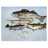 Taxidermy Mounted Fish, Includes Longnose Gar, Walleye, Largemouth Bass, And Rainbow Trout, Total Qt Taxidermy Mounted Fish, Includes Longnose Gar, Walleye, Largemouth Bass, And Rainbow Trout, Total Qt