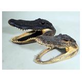 Alligator Heads, Qty 2, 10.5" Long And 8" Long  Alligator Heads, Qty 2, 10.5" Long And 8" Long