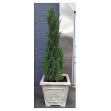 Concrete Planters, Qty 2  Concrete Planters, Qty 2