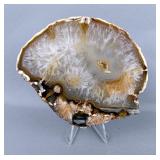 Polished Brazilian Agate Slice, 4.75" x 4"  Polished Brazilian Agate Slice, 4.75" x 4"