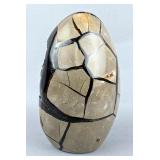 Black Septarian Egg Mineral Specimen, 4.75"  Black Septarian Egg Mineral Specimen, 4.75"
