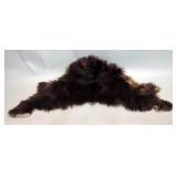 Bear Skin, Approx 52" x 36" 