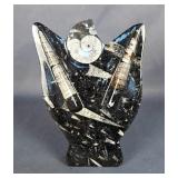 Polished Orthoceras And Ammonite Fossil Display, Approx 8.25" Tall 