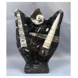 Polished Orthoceras And Ammonite Fossil Display, 8.25" Tall