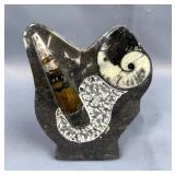 Polished Orthoceras And Ammonite Fossil Display, 5.5" Tall 