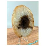 Polished Brazilian Agate Slice, 5.25" x 3.5" 