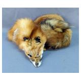 Full Red Fox Pelt, 50" Long 