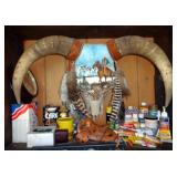 Painted Bull Skull With Horns and Feathers 28"W