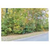 REAL ESTATE AUCTION - VACANT BUILDING LOT IN OAK RIDGE, TN