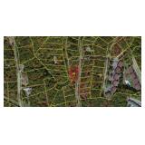 REAL ESTATE AUCTION - ENGLISH MOUNTAIN BUILDING LOT