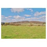 ABSOLUTE ESTATE AUCTION - 5.57 ACRES, BARNS, HOME