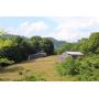 Multi Farm Auction Over 200 Acres some with Norris Lake Frontage