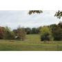Absolute Auction- 2 Homes and 30 Acres- Morristown, TN 37813