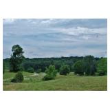 ABSOLUTE REAL ESTATE AUCTION- +/- 43 ACRES