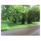 Absolute Online Only Real Estate