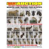 Online Only Absolute Auction - Mounted Game Trophies