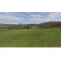 Online Only Absolute Auction 85 Acres in 5 Tracts with Gorgeous Views