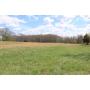 ONLINE ONLY ABSOLUTE AUCTION  12 Acres Selling in 2 Tracts
