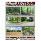 ONLINE ABSOLUTE AUCTIONS of 2 Bldg Lots  4 Acre Tract and 52 Acre Wooded Tract