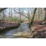 ONLINE ABSOLUTE AUCTION - 8 WOODED ACRES & CREEK