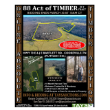 Online Absolute Timber Auction - 88 Acres of Marketable Timber