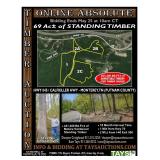 ONLINE ABSOLUTE TIMBER AUCTION - 69 ACRES of STANDING TIMBER