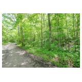 ONLINE ABSOLUTE AUCTION - 8.2 Ac WOODED TRACT