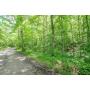 ONLINE ABSOLUTE AUCTION - 8.2 Ac WOODED TRACT