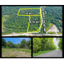 ONLINE ABSOLUTE AUCTION - 23 Ac of WOODLAND (2 TRACTS)