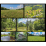 ONLINE ABSOLUTE AUCTION - 60 Ac (2 TRACTS), PONDS, BUILDINGS