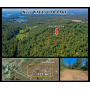ONLINE ABSOLUTE AUCTION - 321 Ac WOODED TRACT NEAR WATTS BAR LAKE