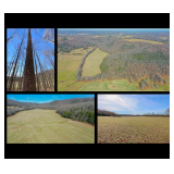 ONLINE ABSOLUTE AUCTION - 152 Acres & TIMBER (1 TRACT)