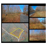 ONLINE BANKRUPTCY AUCTION - 5.4 Ac WOODED TRACT (BUCK CREEK ESTATES)