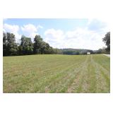Home  60 Acres in Tracts  River Frontage