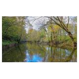 78 Ac (6 TRACTS) & RIVER FRONTAGE - SELLING AT ONINE ABSOLUTE AUCTION