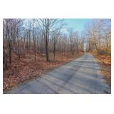11 Ac WOODED TRACT - SELLING at ONLINE ABSOLUTE AUCTION