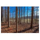 8.76 Ac WOODED TRACT - ONLINE ABSOLUTE AUCTION