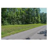 0.88 Ac WOODED LOT - ONLINE ABSOLUTE AUCTION