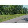 0.88 Ac WOODED LOT - ONLINE ABSOLUTE AUCTION