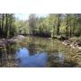 319 WOODED ACRES (2 TRACTS), RIVER & CREEK - ONLINE ABSOLUTE AUCTION