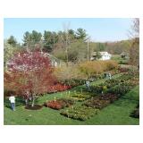  9th Annual K&W Nursery On-Site Sale