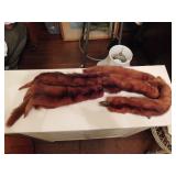 Mink