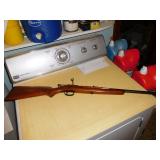 Springfield .22 Rifle
