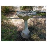 Bird Bath