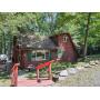 REAL ESTATE AUCTION: LAKE WALLENPAUPACK CABIN